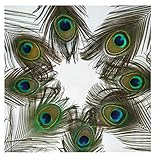 [Polyvalence artisanale] Idéal pour créer de superbes projets de bricolage tels que des compositions florales, des centres de table, des bijoux et des accessoires décoratifs pour toute occasion.