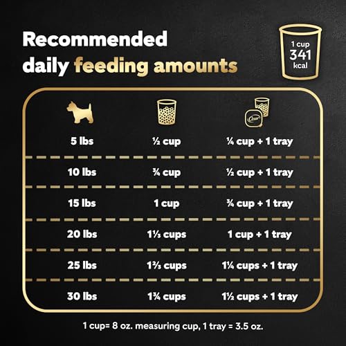 Image of Cesar Small Breed Dry Dog Food for Small Dogs, Porterhouse Flavor and Spring Vegetables Garnish, 5 lb Bag (Pack of 4)