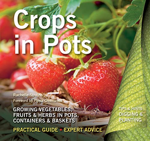 Crops in Pots: Practical Guide – Expert Advice Crops in Pots: Practical Guide – Expert Advice