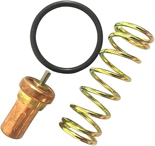 6246396100 Thermostatic Valve Kit for Atlas Copco CP Compressor Parts 6246-3961-00