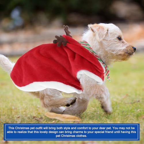 Disfraz Navideño para Perro con Bufanda Santa 2XL miniatura 2