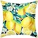 Lieson Fundas de almohada, 1 funda de almohada al aire libre de 18 x 18 de 45 x 45 cm, flores de limón, fundas de cojín de sofá, color amarillo, azul, verde, poliéster