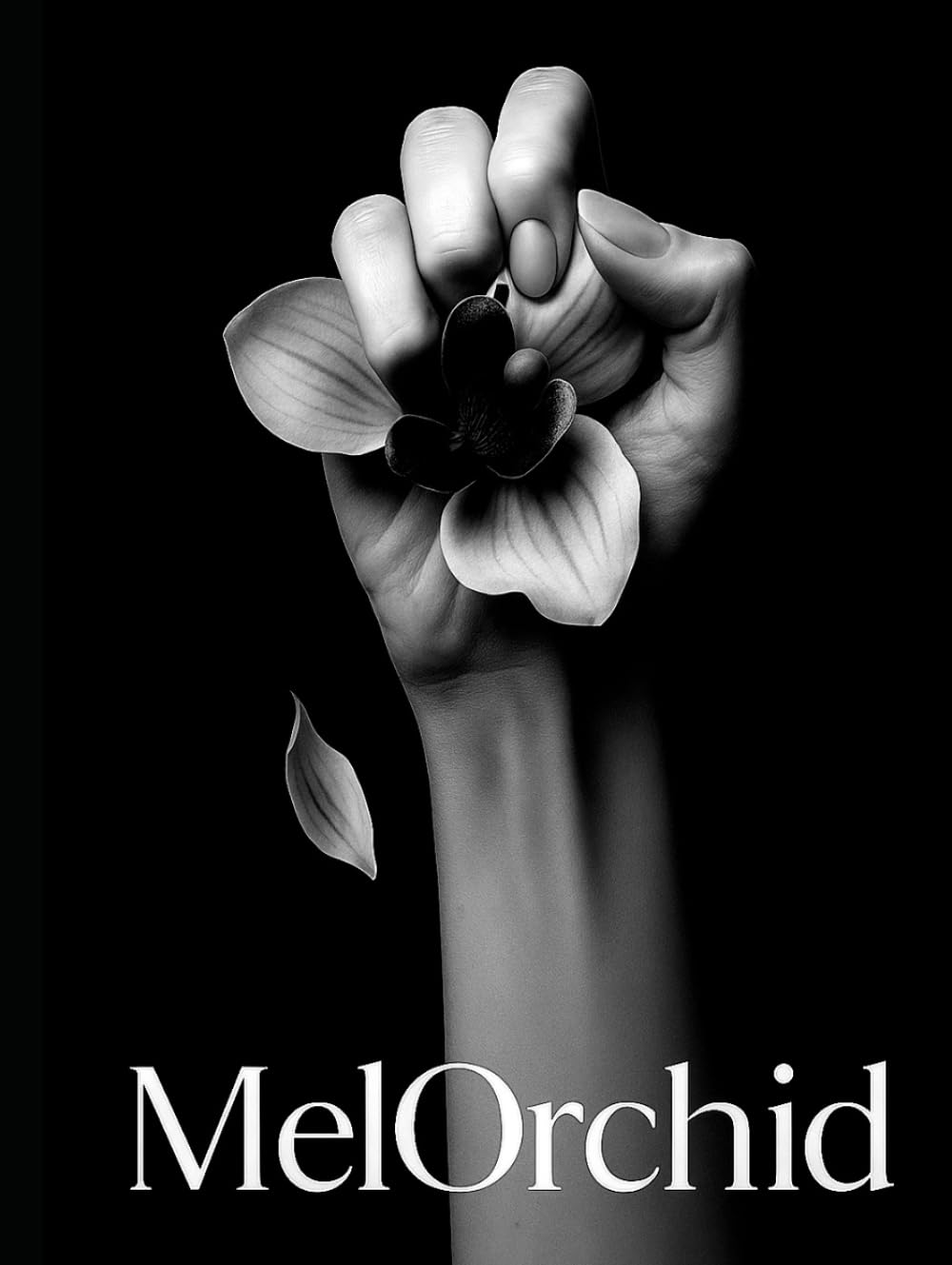 MelOrchid Origins Flickr Favorites orchidée facile à entretenir