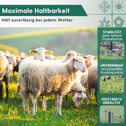 Agrarzone® Schafnetz Schafzaun mit Strom [Grün - 50mx108cm] - Weidezaun Elektro Netz - Mit Doppelspitze & Pfähle - Schutzzaun für Schaf Ziege Lämmer - Elektro Zaun Geflügelzaun Ziegenzaun Schafzäune