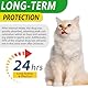 Antibiotics for Cats, 60ml Cat Antibiotics for infections, Cat Multivitamin, Supports Allergy Relief, Roast Chicken Flavor