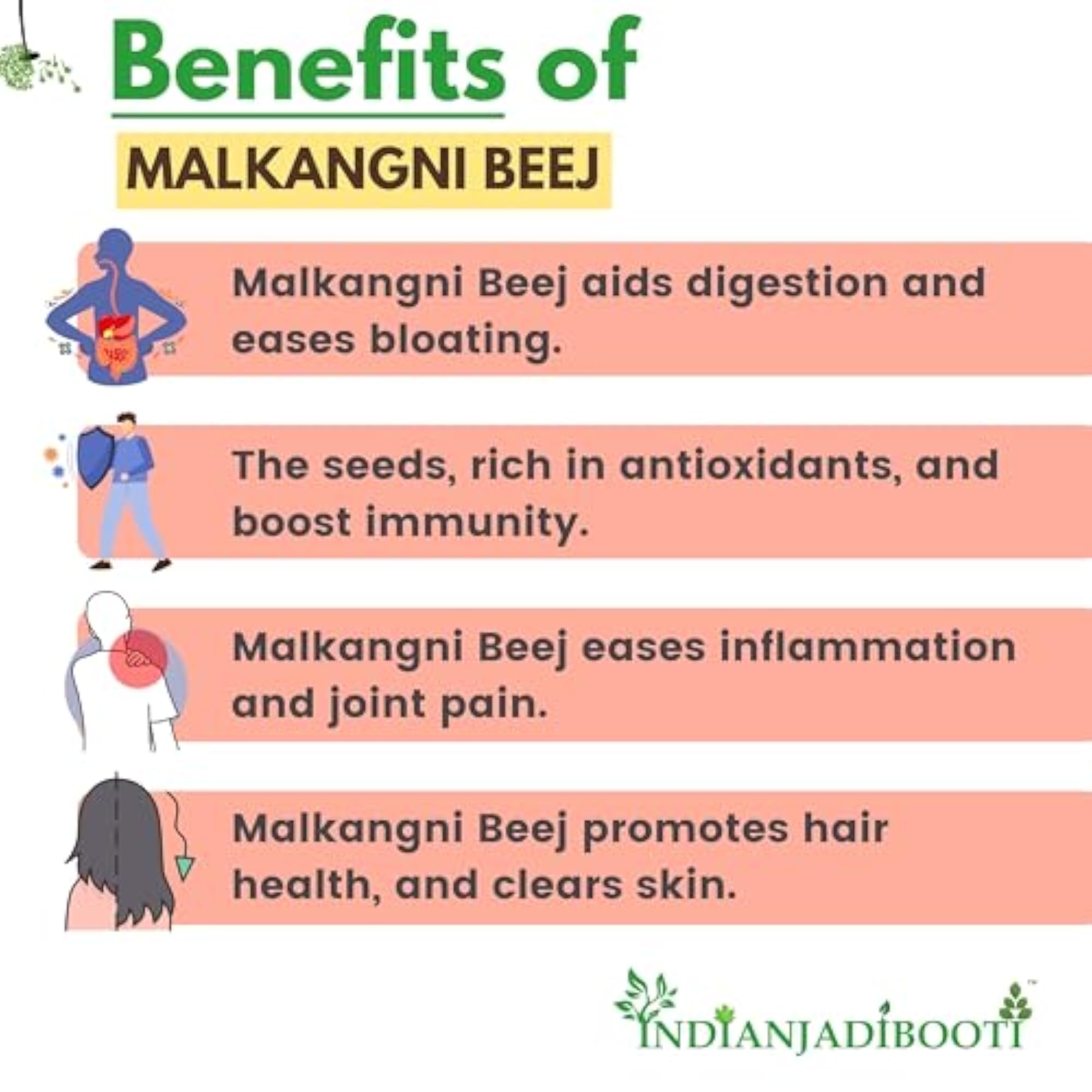 Malkangni Beej-Jyotishmati Seeds 250 Grams Pack