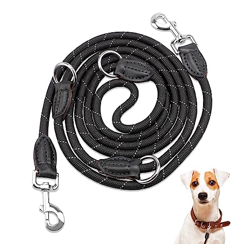 3 M Nylon-Hundeleine – Stark, 2,5 Cm Breit, Für Mittelgroße & Große Hunde, Zum Wandern & Training