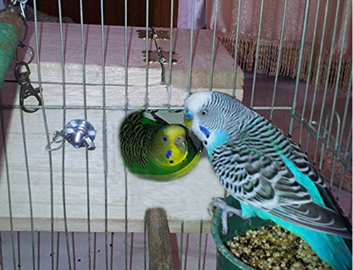 Natural-Breeding-Box-for-Small-Bird-Budgerigar-Budgeri-Lovebird-Finch-Canary-Bird-with-Perch