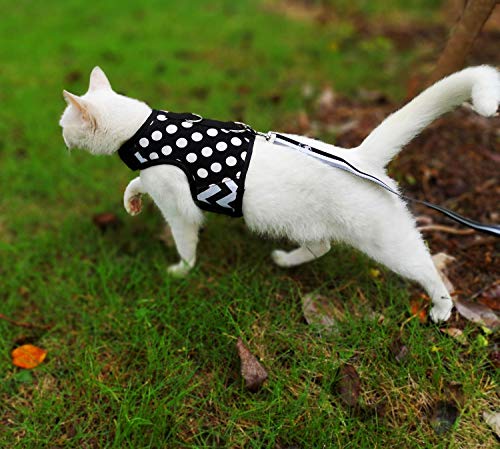 Image of Cat Harness and Leash for Walking Escape Proof, Adjustable Cat Vest Harness, Padded Stylish Cat Walking Jackets, Polka Dot Black, Medium