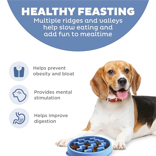 Outward Hound Antischlingnapf Hunde - Slow Feeder Hundenapf, für mehr Fressspaß, langsameres Fressen, beugt Blähungen vor, Rutschfester langlebiger Hunde Wasser- & Futternapf, Größe Mittel (Blau)