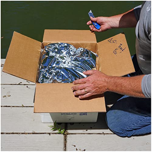 Live Bluegill (20) 2-4" Pond Fish | Bluegill Sunfish To Stock Ponds, Aquaponic System, Aquaculture #TOP7