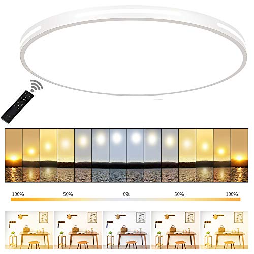 Preisvergleich Produktbild ERWEY 60cm Ultraslim LED Deckenleuchte Rund Deckenlampe Dimmbar Deckenleuchte mit Fernbedienung Lichtfarbe und Helligkeit einstellbar Modern ultradünn Deckenbeleuchtung Dicke 5cm (Weiß Dimmbar, 60cm)