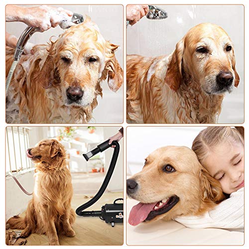 image for Bonnlo 2400W 3.2HP Stepless Adjustable Speed Pet Dryer Dog Hair Dryer 