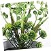 GOOHOCHY Artificial Potted Plant Faux Flowers and Bonsai Design for Home Office and Kitchen Decor Realistic Greenery for All Spaces