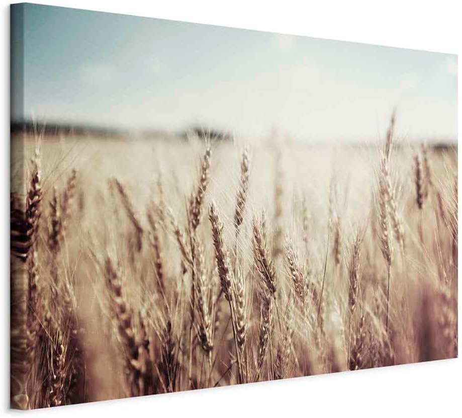 artgeist Acoustic Canvas Wall Art Print Nature 35x24 in - 1pcs Picture with Acoustic Foam Sound Print Artwork Room Acoustics Soundproofing Grain Landscape Field b-B-0512-b-a