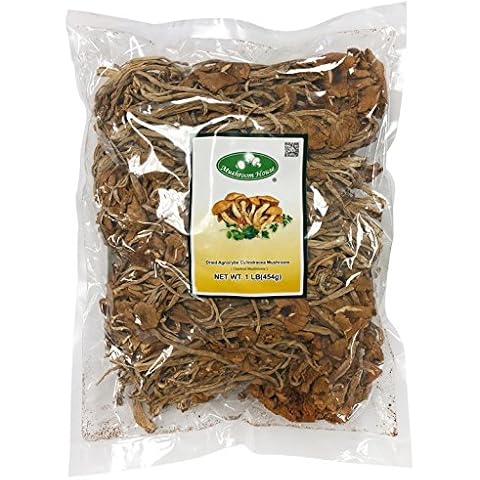 Mushroom House Dried Mushrooms, Chestnut (Agrocybe cylindracea), 1 Pound Cover