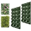 36Pcs-Green