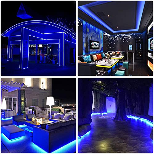 Eagwell Upgraded Storefront Lights, 40 Ft 80 Pieces Blue Store Window Led Lights 4 Sets 5054 Smd Led Light Module Storefront Window Strip Light For Business Store Light Advertising Signs #TOP5