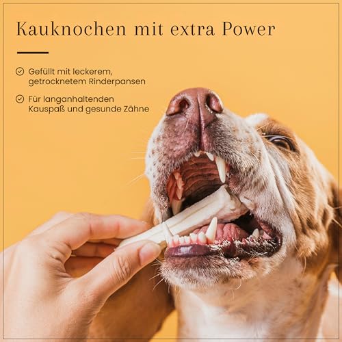 Dog Time Tiernahrung Kauknochen mit Pansen 5 Stück a 12 cm getrocknet I Gesunder Kausnack aus 100% Rind für Hunde I Hundeleckerli mit vielen wertvollen Vitaminen & ohne Zucker