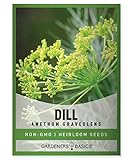 Gardeners Basics Dill Seeds for Planting is A Heirloom, Non-GMO Herb Variety, Anethum Graveolens Herb Seeds Great for Indoor and Outdoor Gardening