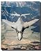 Rockwell B-1 Lancer Bomber Jet Airplane Aviation Wall Decor Art Print Poster (16x20)