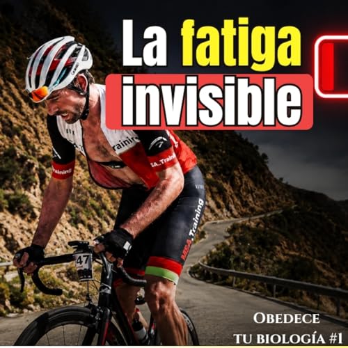 296. Los TSS diarios que TrainingPeaks no puede ver.