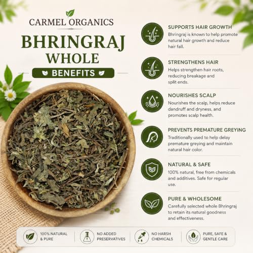 Image of CARMEL ORGANICS Bhringraj Whole 100 Grams | | Clean & Dried Bhringraj Leaves & Herb | For Hair Oil, Hair Mask & Hair Care | 100% Natural | Chemical Free
