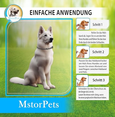 MstorPets | 100% Natürliches Flohhalsband ohne Chemie | Zeckenhalsband klein, & groß | Wasserdicht Größenverstellbar bis 8 Monate Zeckenschutz für Hunde | Anti Floh Hunde Katze [Grau]