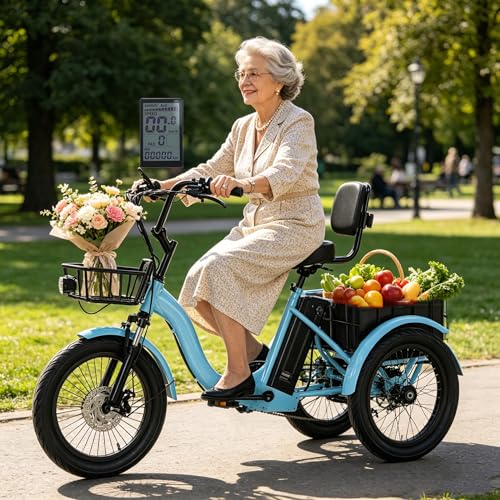 ZhouBSM Triciclo Eléctrico Plegable para Adultos De 18 Pulgadas B