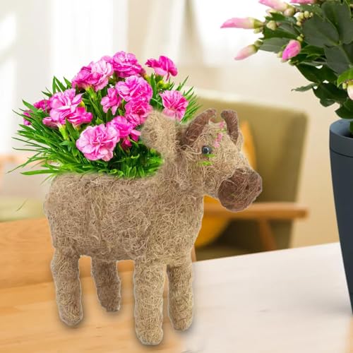 Pots de fleurs pour d'intérieur avec support de cactus stable en rotin durable - 4