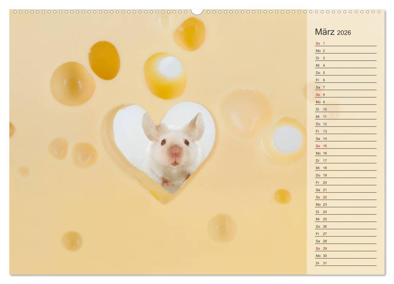 Tage von Herzen (hochwertiger Premium Wandkalender 2026 DIN A2 quer), Kunstdruck in Hochglanz: Geburtstagskalender mit Platz für Notizen (CALVENDO Lifestyle)
