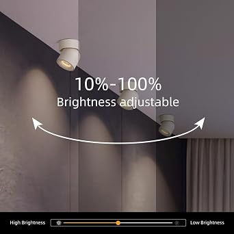 Aisilan 2 White Ceiling Spotlights LED 1 Bulb Dimmable 7 W 3000 K 360° Swivelling Ceiling Light Spotlight Indoor Modern Warm White Rotatable Ceiling Lamp Spots for Living Room Bedroom Kitchen [Energy Class F]
