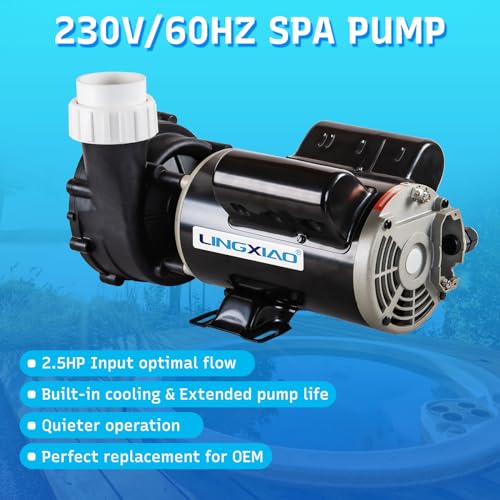 Image of SPA Pump, 2.5HP Hot Tub Pump - 48 Frame(Y) LX SPA Motor 2 Speed, 230V, 2 inch Port - (Model: 48WUA1502C-II)