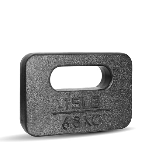 Yes4All Cast Iron Rucking Weight for Backpack, Training Weight Plate with Ergonomic Rounded Handle, Protective Glossy Finish for Weighted Walking, Hiking, Rucking, Resistance Workout, 15 LB (Single)