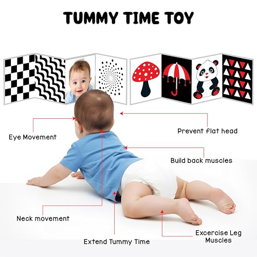 Image of High Contrast Flash Card Busy Book for Babies & Infants (2 Busy Books, Black & White + Red) | 16 Objects & Patterns | Tummy Time Toy for 0, 3, 6, 9, 12, 18 Months | Fun Learning for Newborn