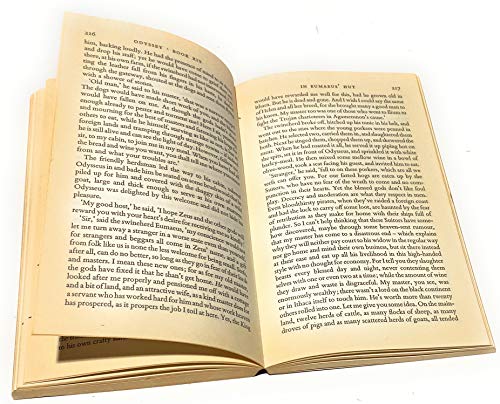 The Odyssey (Translated by E.V Rieu) B008OH5CVS Book Cover