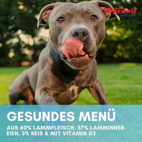 Supravit Nassfutter für Hunde I Hundefutter mit Lamm & Reis I 12 x 410g Dosen I Hunde Nassfutter I getreidefrei I besonders gut verdaulich und verträglich für den Hund