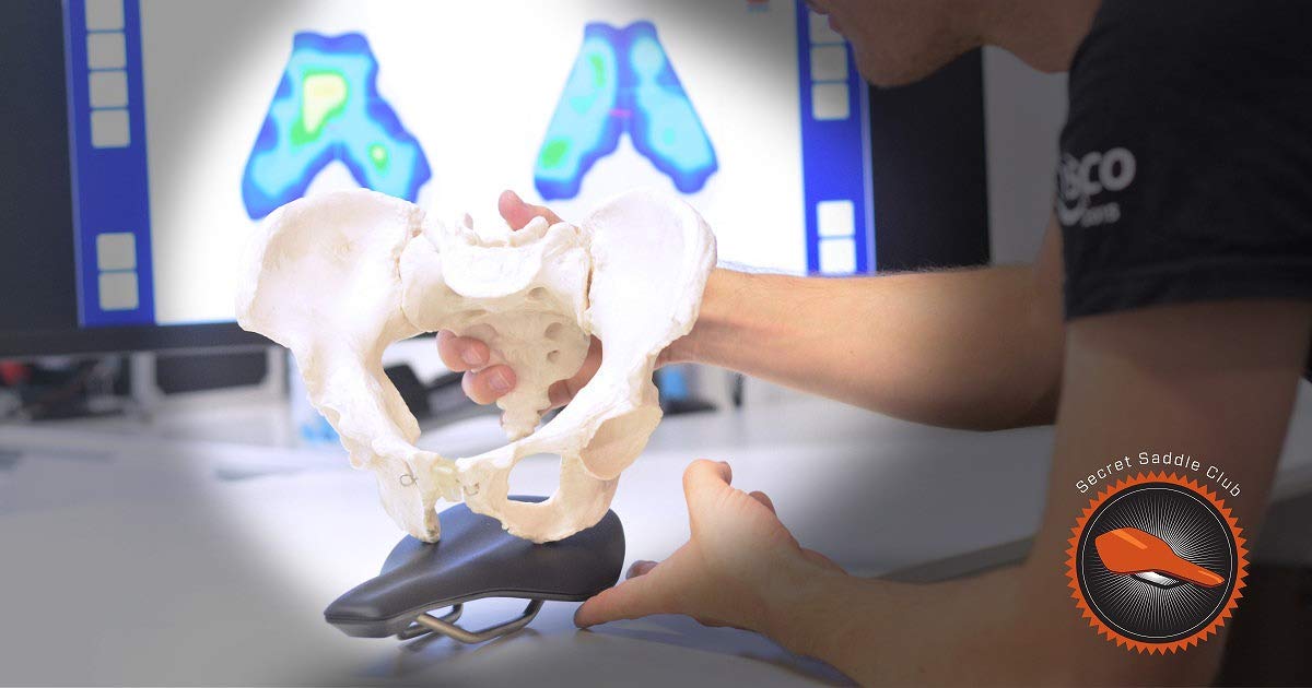 ゲビオマイズド Gebiomized Area アレア ゲビオマイズド Gebiomized Area アレア ゲビオマイズド