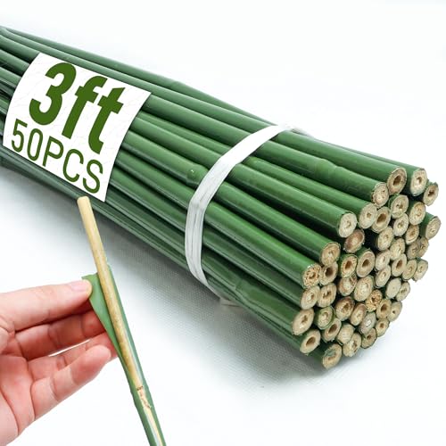 50Pcs 3ft Bamboo Sticks for Indoor Outdoor Plants 0.29-0.38 Natural Bamboo Poles Durable Garden Stakes for Tomatoes Beans Flowers and Potted Plants
