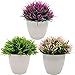 Fycooler Plantas Artificiales Plásticas de Maceta ,Plantas Artificiales Decorativas, Adecuado para El Hogar Oficina Jardín Baño Cocina Planta Falsa Decorativas Decoración de Interiores - Set de 3