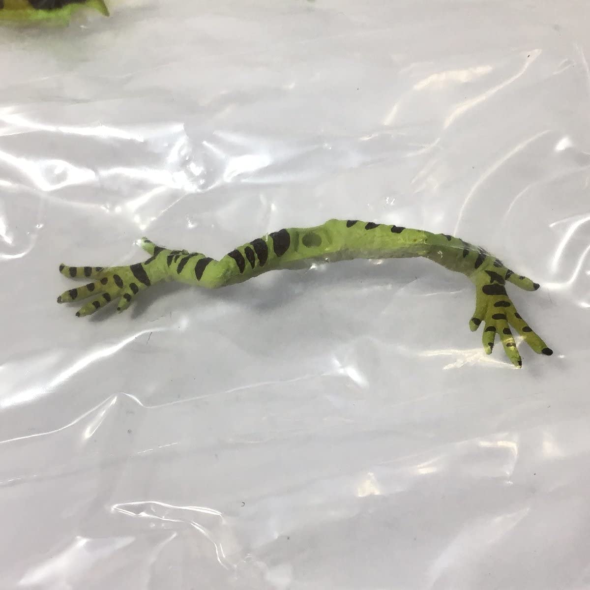 ♯Kwi18GJ カプセルQ 日本の動物 コレクション7 八重山諸島 全7種 Amazon.co.jp: Kwi18GJカプセルQ日本の動物コレクション7八重山