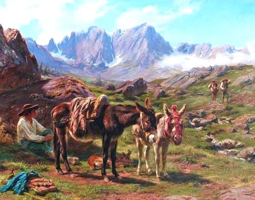 Pintura de burro por números regalo original adultos kit óleo creativo