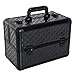 HOMCOM Estuche de Maquillaje Maletín para Maquillaje Organizador Cosméticos Profesional Caja de Belleza Portátil 4 Niveles 35.5x20x25.5cm Aluminio