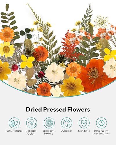 Image of Dried Flowers, Resiners 100Pcs Pressed Flowers for Craft Yellow Real Natural Dried Flowers Dry Leaves Kit for DIY Making Crafts Resin Soap Candle Scrapbook Supplies Card Making Jewelry