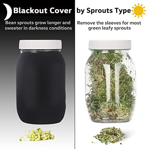 Complete Sprouting Jar Kit| 2 Wide Mouth Mason Jars, 316 Screen Sprout Lids, Blackout Sleeves, Tray, Stand| Sprouter Set for Growing Broccoli, Alfalfa and More-Seeds not Included by Malastar - Image 2
