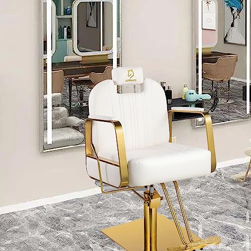 Luxmars Reclining Barber Chair Salon Chair Rolling Swivel Hair Stylist Hydraulic For Hair Salon 360 Degrees Tattoo Salon Beauty Spa Chair Styling Equipment - White #TOP1
