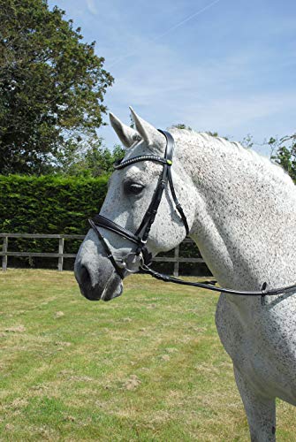 Rhinegold Anatomic Bridle - Extra Full - Black - Image 2