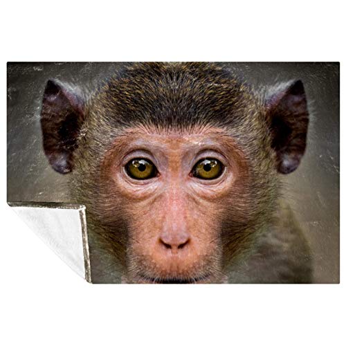 Couverture motif singe de qualité supérieure douce et durable - 2