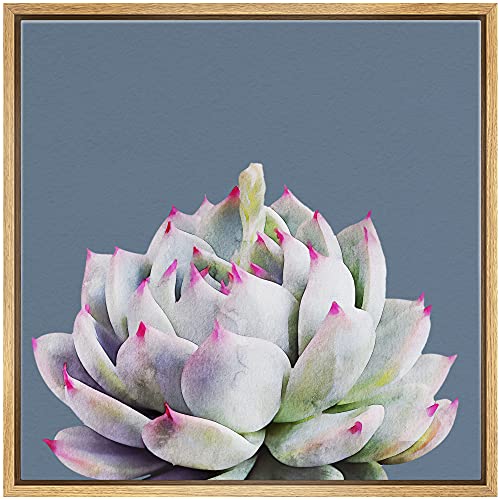 Color-Banner Framed Canvas Print Wall Art Blooming Green Succulent & Pink Spikes Floral Plants Mixed Media Realism Southwest Closeup Colorful Cool For Living Room, Bedroom, Office - 16"X16" Natural #TOP23