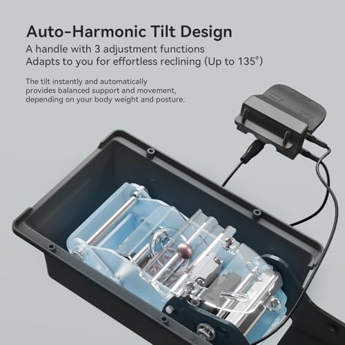 SIHOO Doro C300 Pro Ergonomic Office Chair with Ultra-Soft 6D Armrests, Dynamic Lumbar Support, Seat Depth Adjustment and Adjustable Backrest Desk Chair for Home Office (Black)